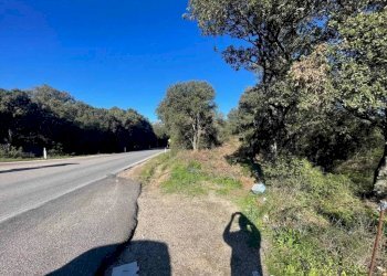 Terreno - Terreno agricolo Telti - foto 8