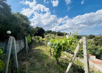 Terreno - Villa Torpè - foto 10