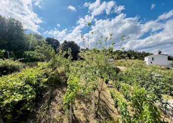 Vista - Villa Torpè - foto 11