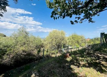 Terreno - Villa Torpè - foto 20