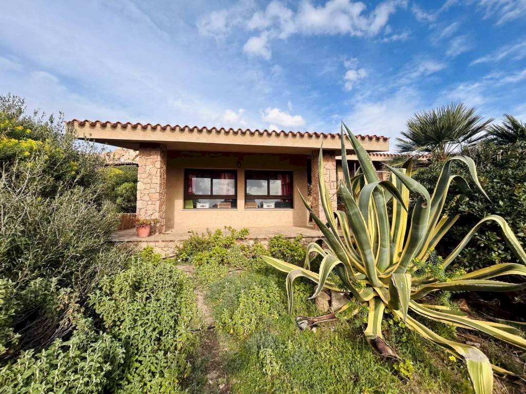 Giardino - Villa Trinità d'Agultu e Vignola - foto 1