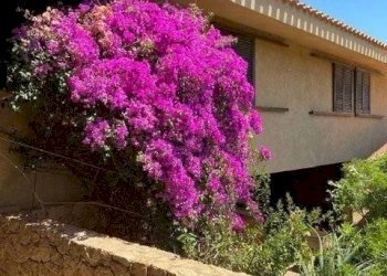 Facciata - Villa Trinità d'Agultu e Vignola - foto 8