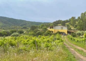 Terreno - Trilocale Torpè - foto 4