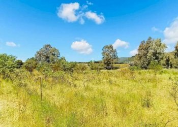 Terreno - Independent house Berchidda - photo 11