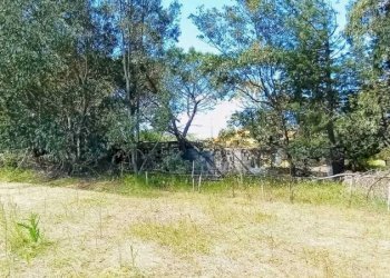 Terreno - Independent house Berchidda - photo 12