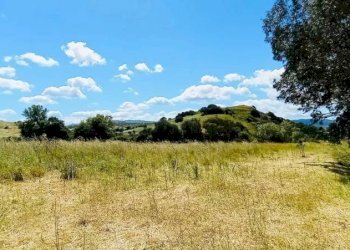 Terreno - Independent house Berchidda - photo 14