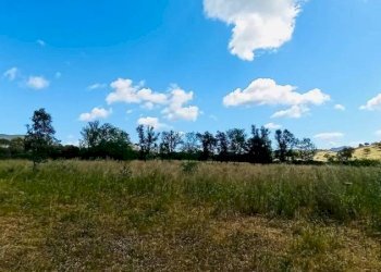 Terreno - Building land Berchidda - photo 13