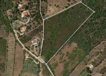 imm_79506-803-.jpg - Agricultural land Budoni - photo 5