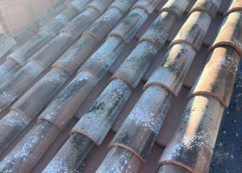 Altro - Villa Siniscola - foto 18