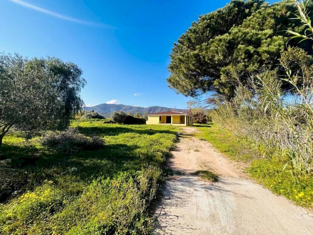 Terreno - Villa Torpè - photo 1