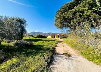 Terreno - Villa Torpè - foto 1