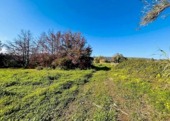 Terreno - Villa Torpè - foto 21