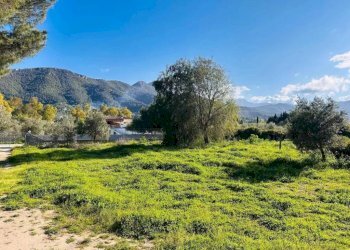 Terreno - Villa Torpè - foto 22