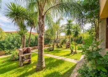 Giardino - Bilocale San Teodoro - foto 7