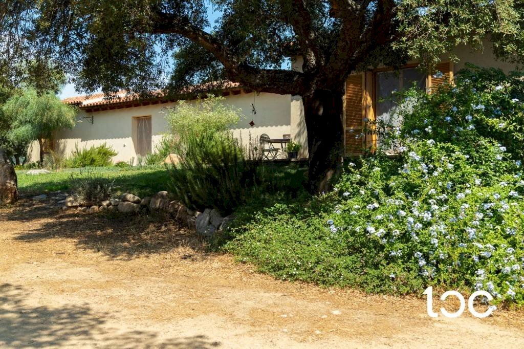 Giardino - Villa Padru - photo 3