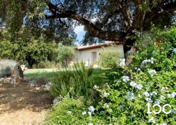 Terreno - Villa Padru - foto 1