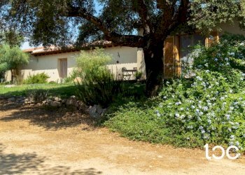 Giardino - Villa Padru - foto 3