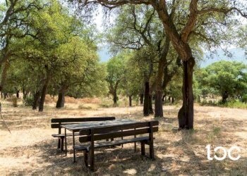 Terreno - Villa Padru - foto 4