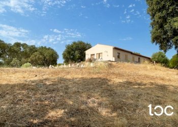 Terreno - Villa Padru - foto 7