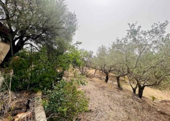 Terreno - Villa San Teodoro - foto 30