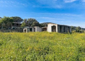 Terreno - Rustico Olbia - foto 1