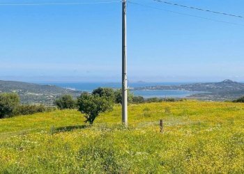 Terreno - Rustico Olbia - foto 5