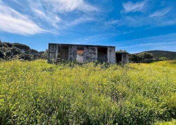 Terreno - Rustico Olbia - foto 7