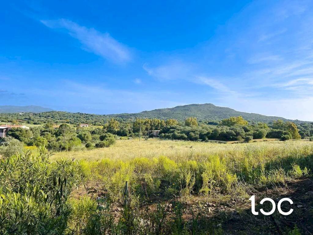 Vista - Terreno edificabile Golfo Aranci - foto 1