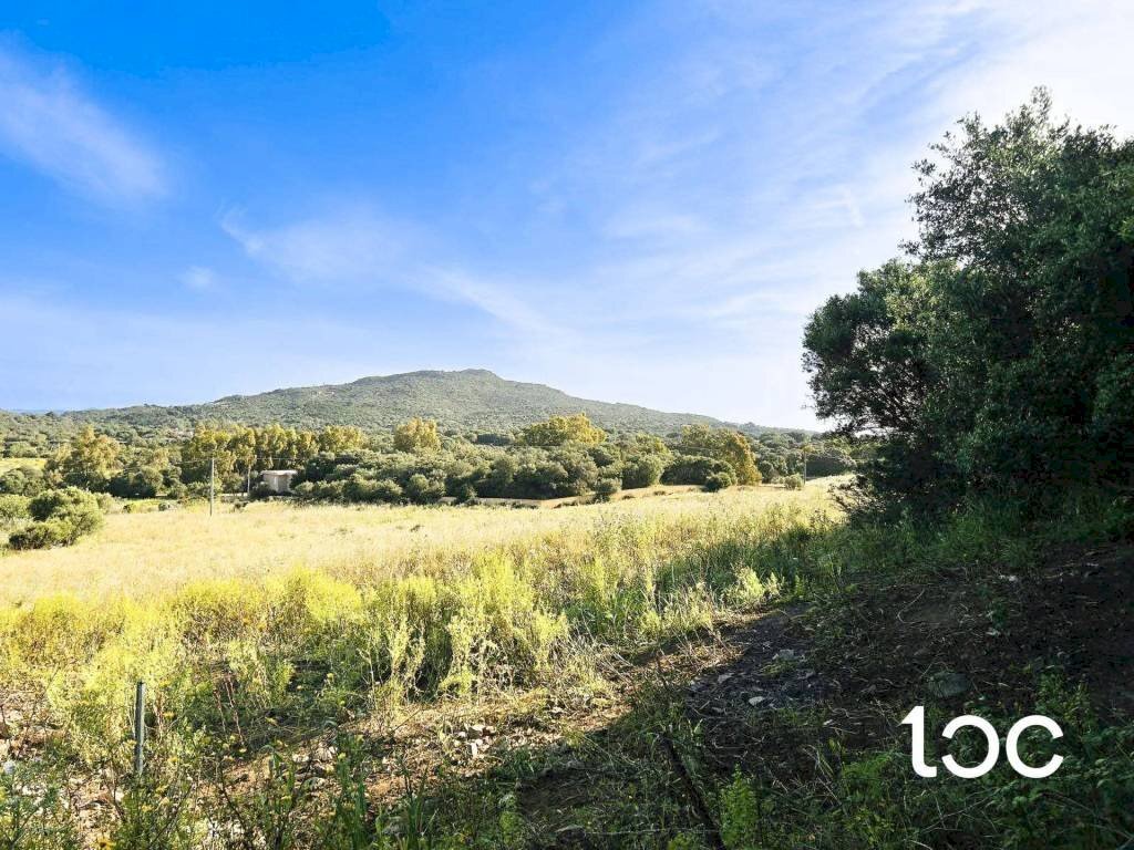 Terreno - Terreno edificabile Golfo Aranci - foto 2