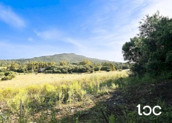 Terreno - Terreno edificabile Golfo Aranci - foto 2