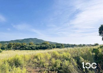 Vista - Terreno edificabile Golfo Aranci - foto 4