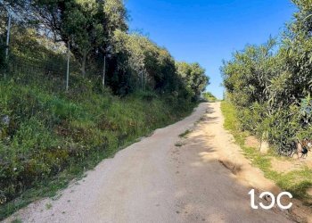 Zona - Terreno edificabile Golfo Aranci - foto 5