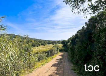 Terreno - Terreno edificabile Golfo Aranci - foto 6