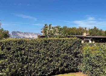 Vista - Villa San Teodoro - foto 27