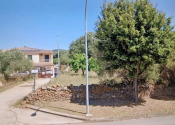 Terreno - Terreno edificabile Budoni - foto 3