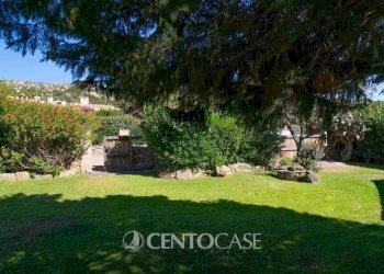 Giardino - Villa Arzachena - foto 28