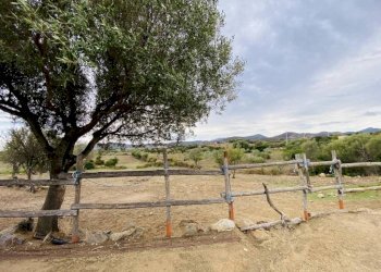 Terreno - Villa Budoni - foto 5