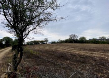 Terreno - Villa Budoni - foto 6