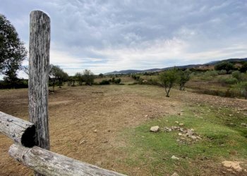Terreno - Villa Budoni - foto 7