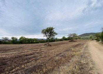 Terreno - Villa Budoni - foto 8