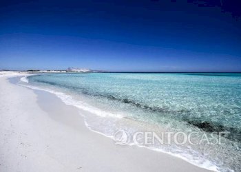 Zona - Villa COSTA CADDU, San Teodoro - foto 27