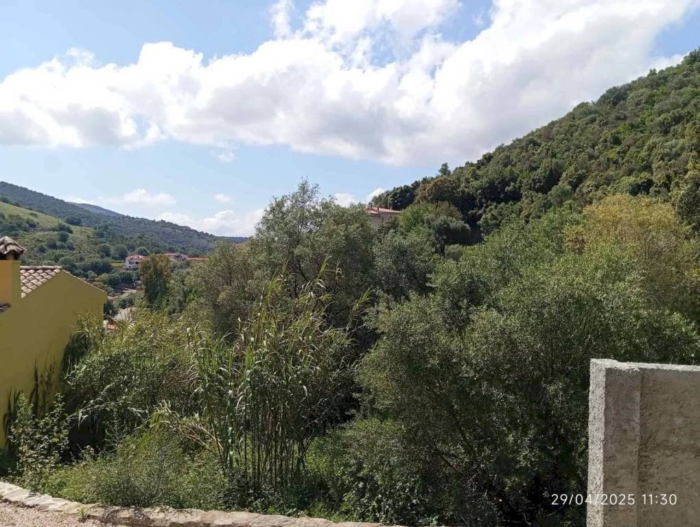 Vista - Appartamento Torpè - foto 2