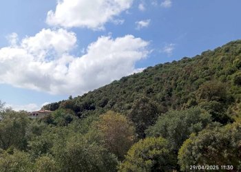 Vista - Appartamento Torpè - foto 3