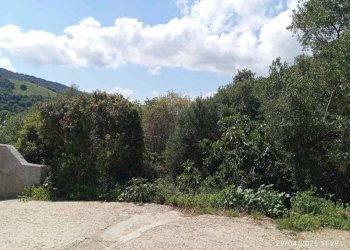 Terreno - Appartamento Torpè - foto 5