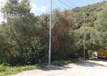 Giardino - Appartamento Torpè - foto 7