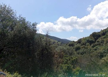 Vista - Appartamento Torpè - foto 8