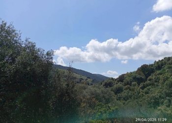 Vista - Appartamento Torpè - foto 12