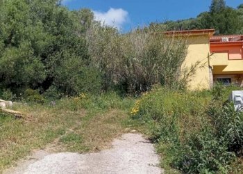 Terreno - Apartment Torpè - photo 13