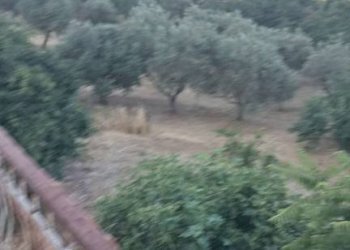 Vista - Casa indipendente via Gustavo Baldassarre, San Giorgio del Sannio - foto 6