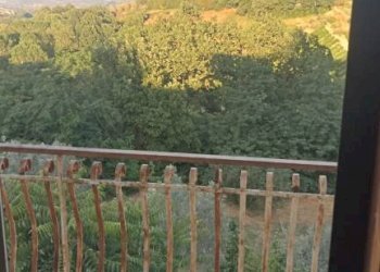 Balcone - Casa indipendente via Gustavo Baldassarre, San Giorgio del Sannio - foto 31